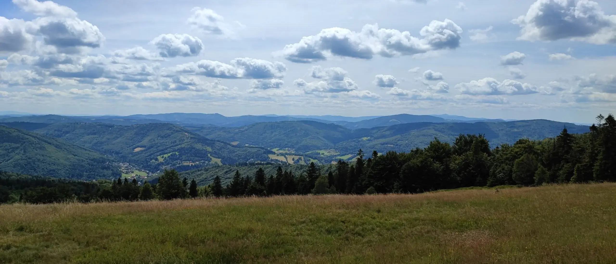 Panorama grzbietów Beskidu Śląskiego widziana z okolic doliny Jawornika