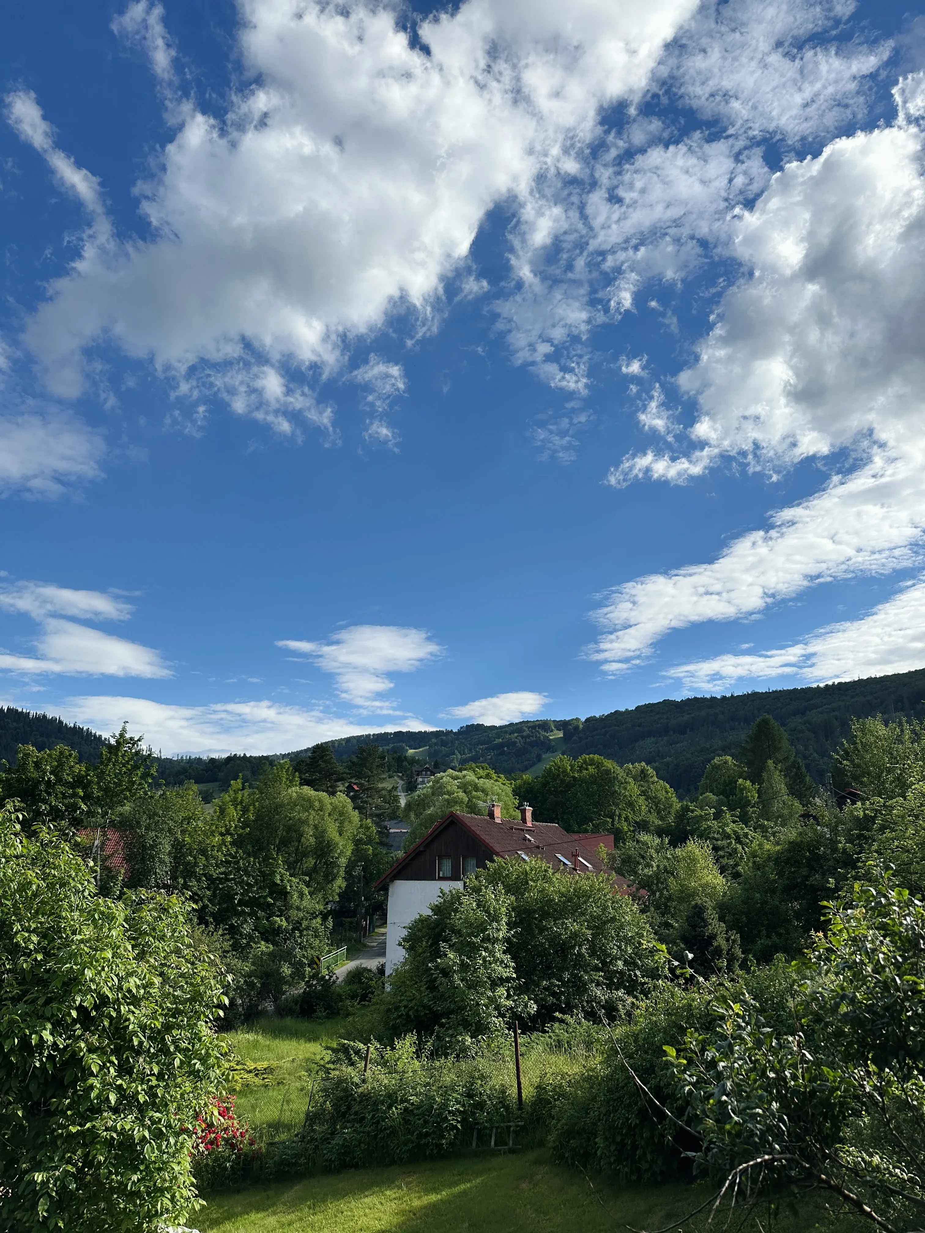 Widok na zalesione wzgórza z okna