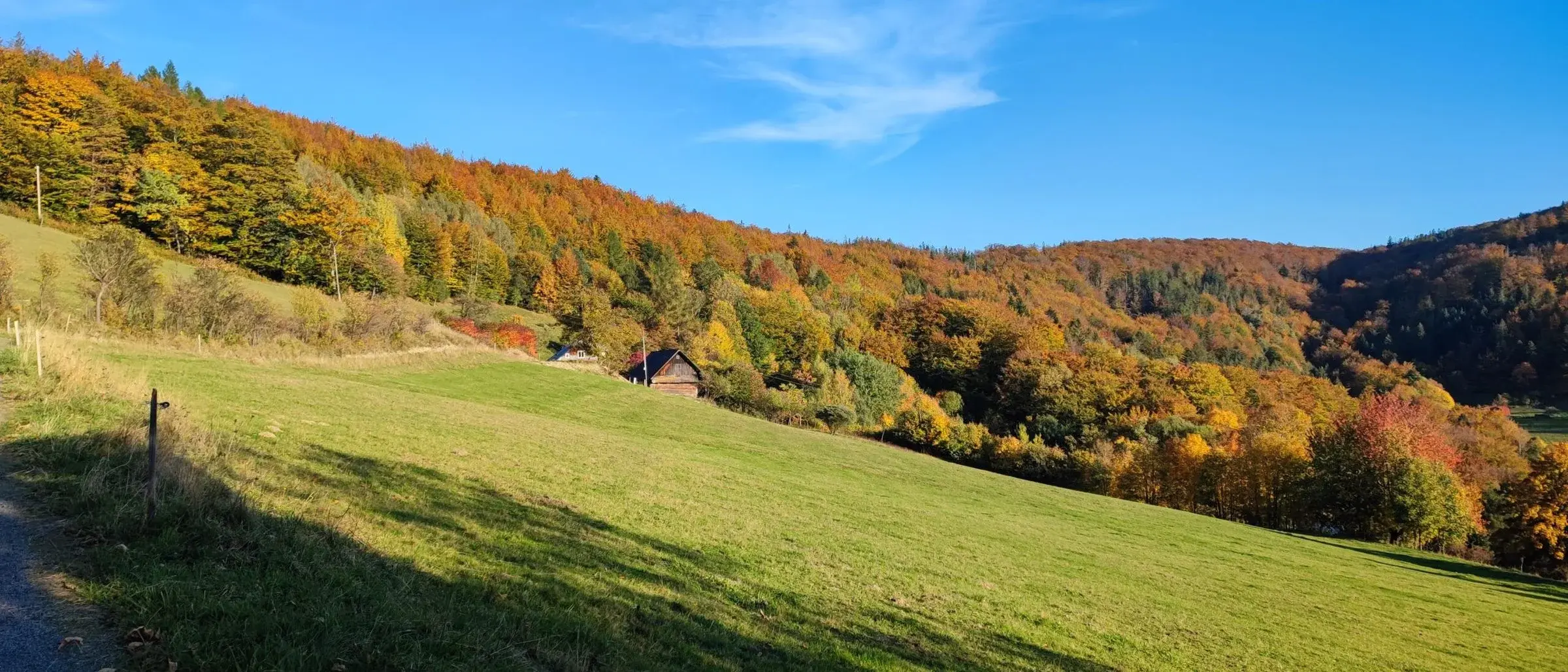 Ścieżka przez łąkę nad doliną, w tle grzbiety Beskidu